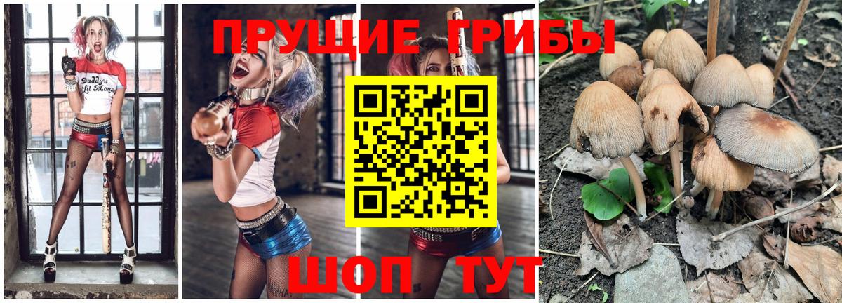 Галлюциногенные грибы прущие грибы Северобайкальск