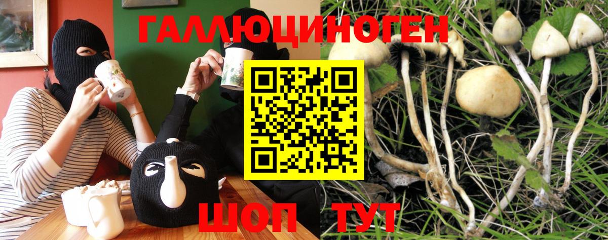 Галлюциногенные грибы прущие грибы  дарнет шоп  Северобайкальск  Вход с VPN 